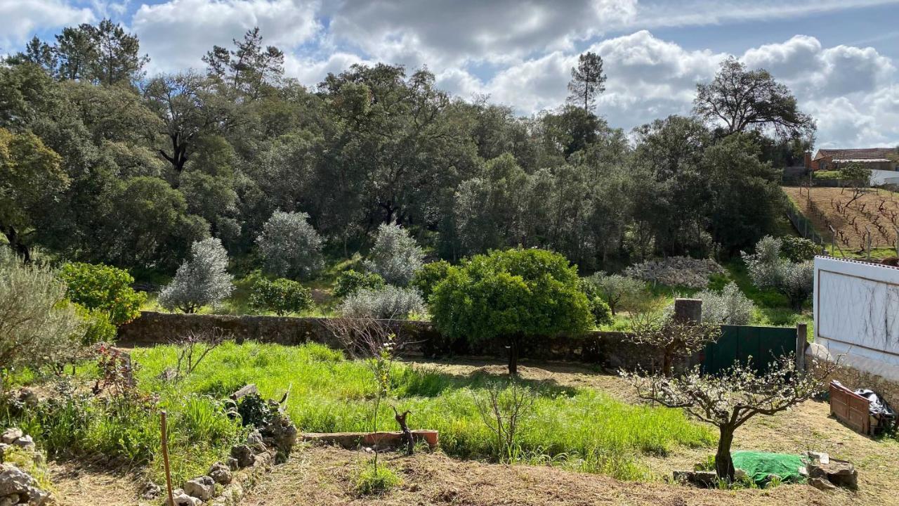 Casalinho In Portugal Country House Томар Екстериор снимка